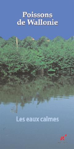 Poissons de Wallonie - Les eaux calmes