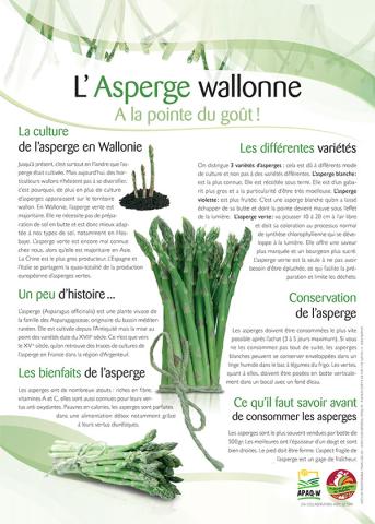 L'asperge