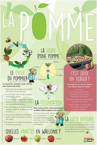 La pomme