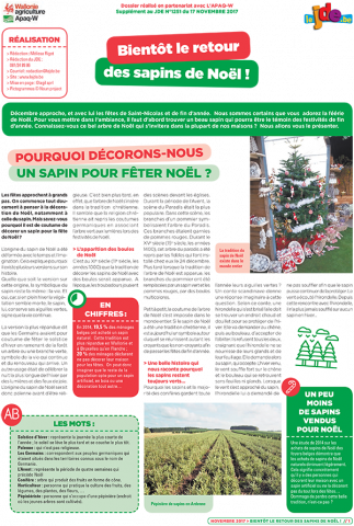 JDE : dossier spécial sapins de Noël