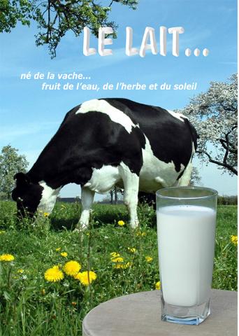 Le lait... né de la vache