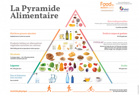 La pyramide alimentaire