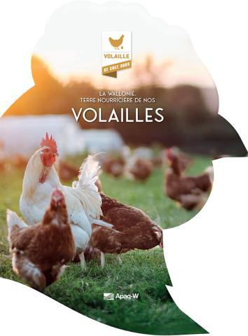 Volaille de chez nous - Recettes