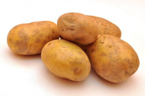 Pommes de terre à chair farineuse - Bintje