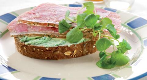 Tartine de pain gris à la tête pressée et beurre au cresson