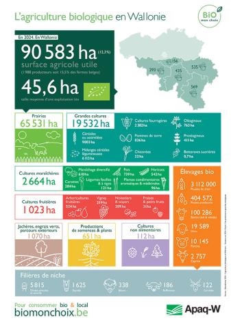 L'agriculture biologique - Les chiffres clés de 2024