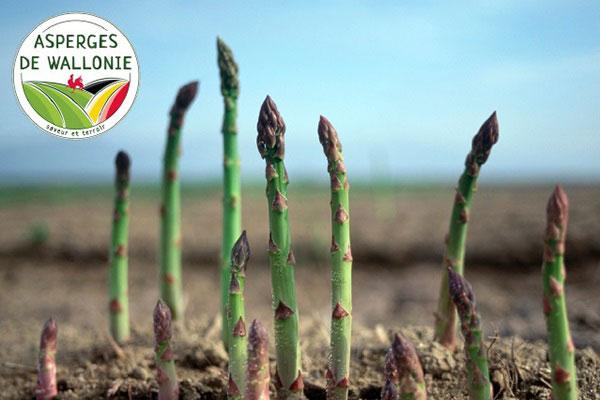 Les Asperges de Wallonie 2025