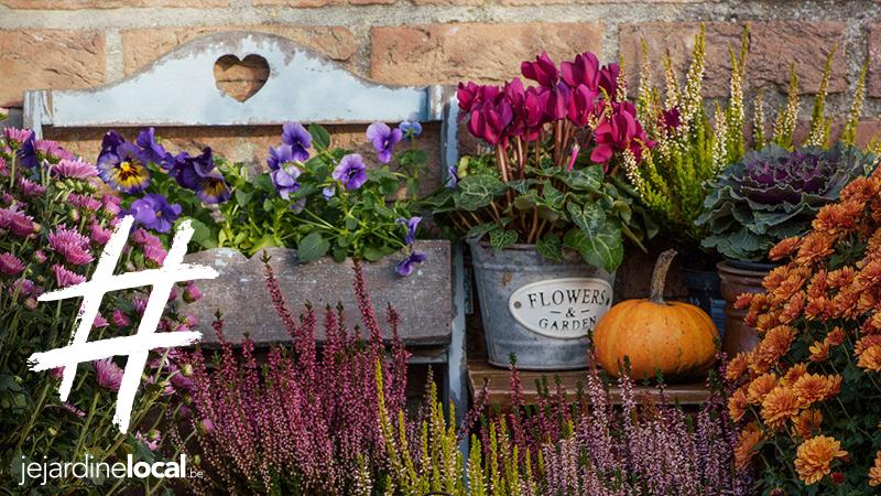 jejardinelocal.be
