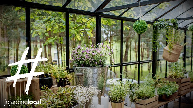 jejardinelocal.be