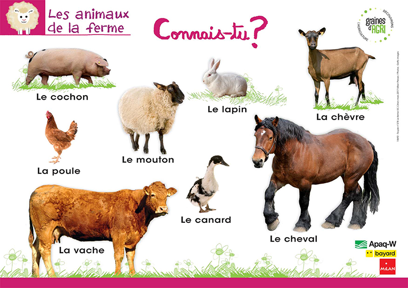 Poster Les animaux de la ferme