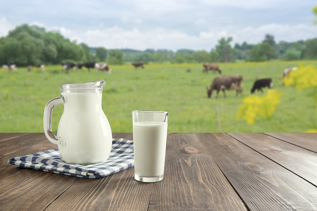 Informations générales sur le lait